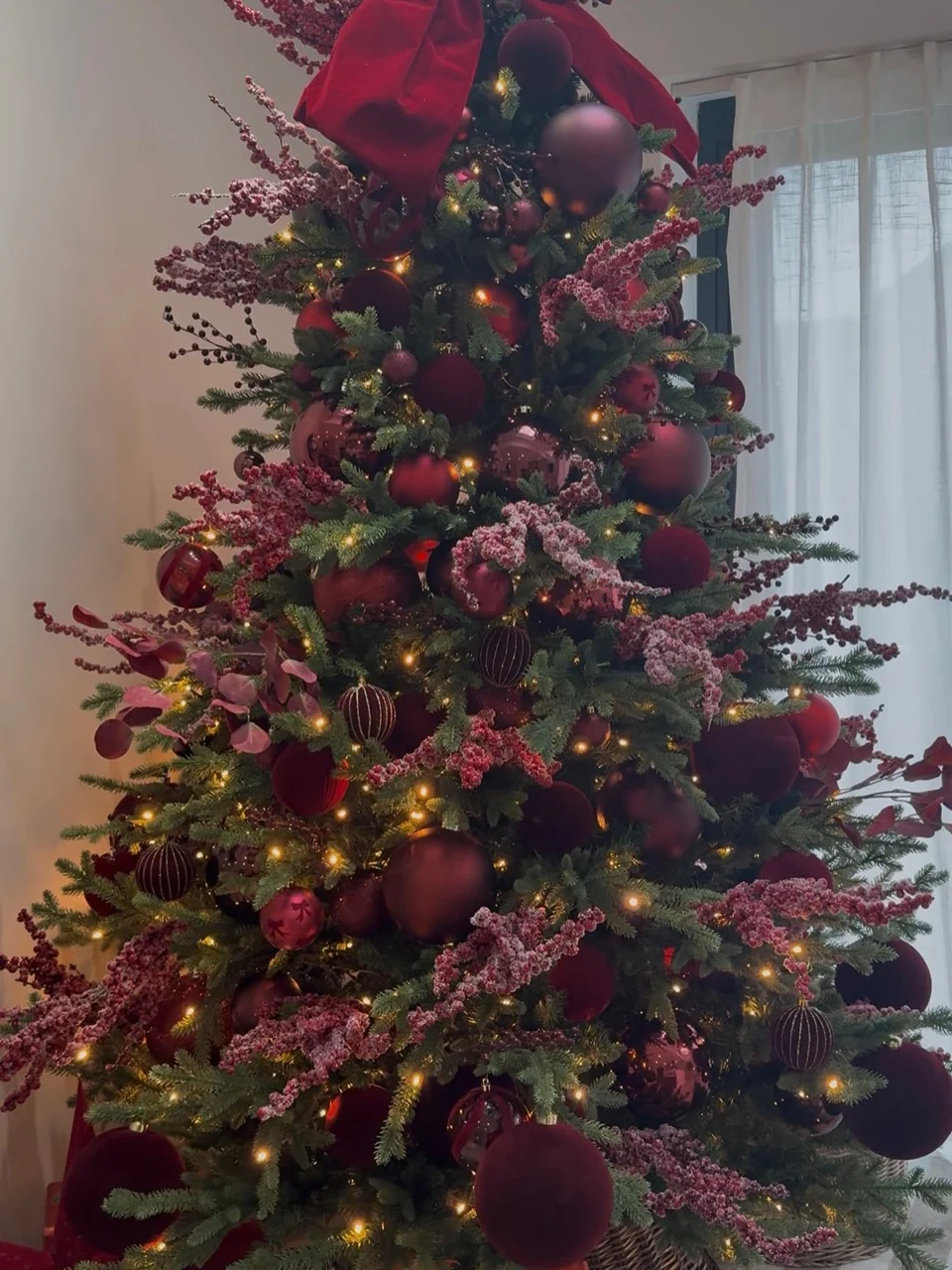 Full view of a Christmas tree filled with burgundy ornaments, frosted berry branches and warm lights beside a sheer curtain.